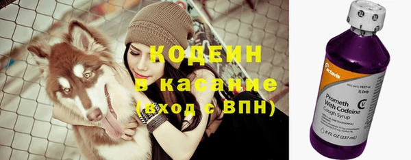 spice Арсеньев