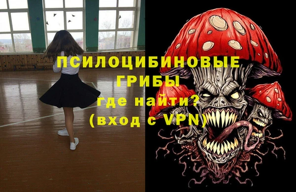 spice Арсеньев