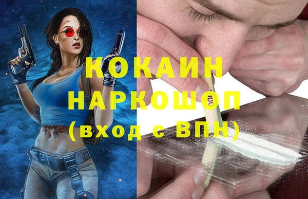 spice Арсеньев