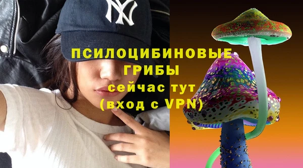 spice Арсеньев