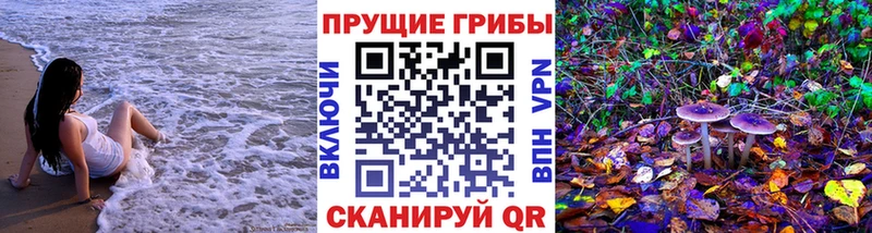 blacksprut рабочий сайт Балей Галлюциногенные грибы Cubensis закладка